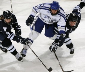 开云体育直播-莫兰特爆发启示录，从NBA新星到辽宁队强势晋级，黄蜂式团队哲学如何跨越篮球世界