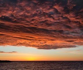 世界杯2026-南美黑马对决欧洲红魔，凯塞多关键战不手软，委内瑞拉力撼比利时