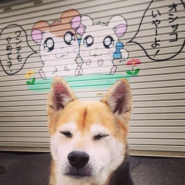 当足球与F1在奇迹之夜交汇,楚阿梅尼的街道赛与苏格兰斩落利物浦的战术交响